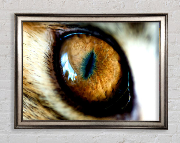 Mordor-Auge