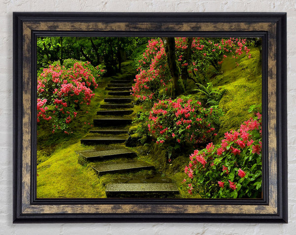 Japanese Garden Washington Park Framed Print
