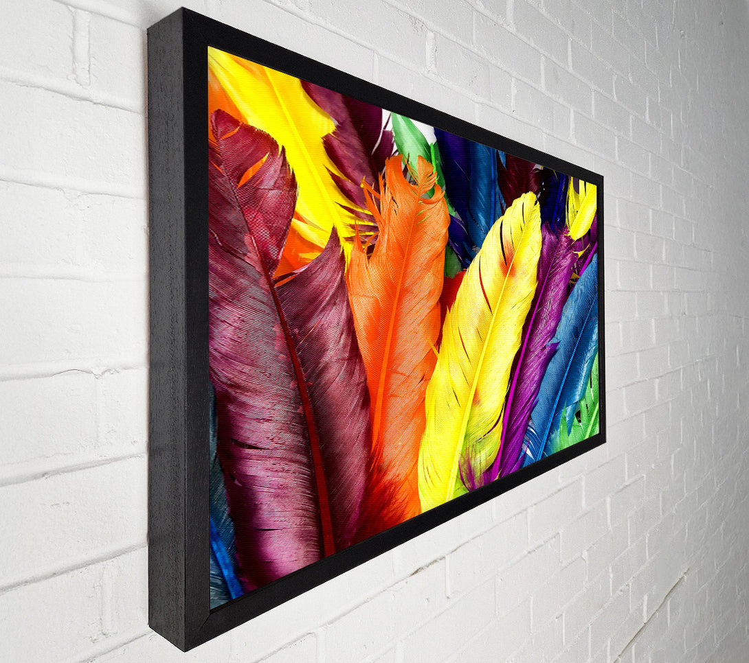  A Canvas Print of Feathers In Colours Canvas Print