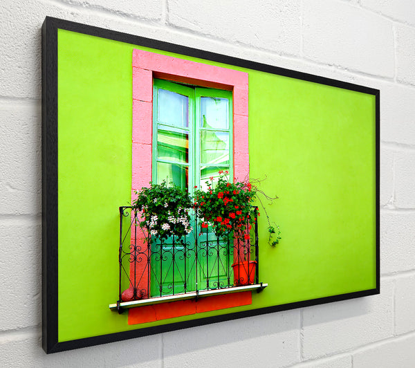 Green Wall Window