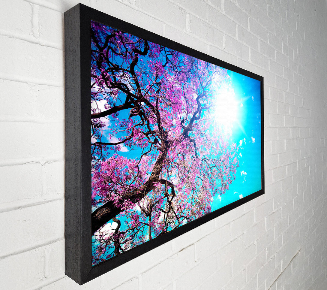  A Canvas Print of Blooming Spring Canvas Print