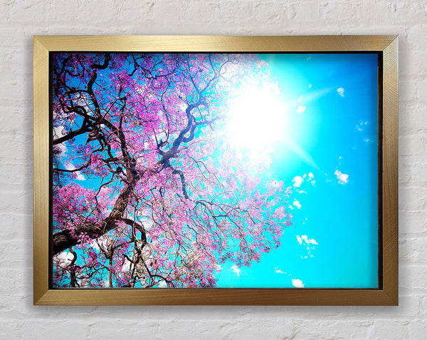 Blooming Spring Framed Print