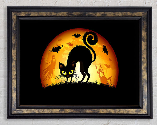 Halloween Cats Bats