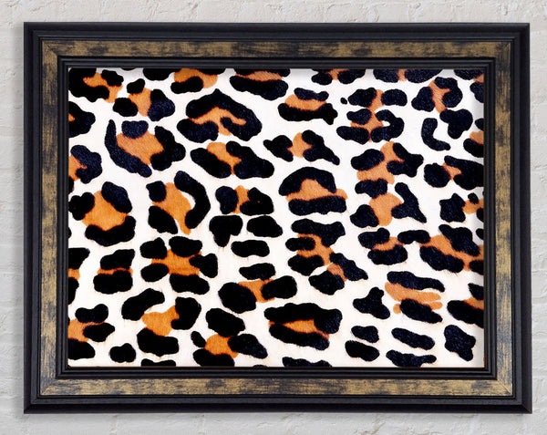Animal Skin Framed Print