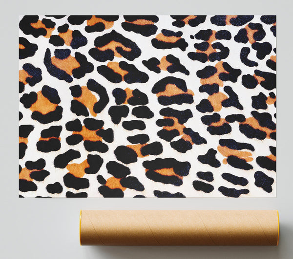 Animal Skin Print
