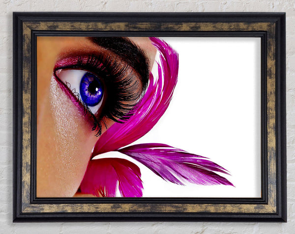 Stunning Pink Feathered Eye Framed Print
