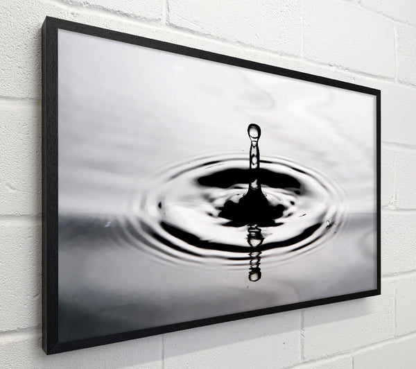 Grey Water Splash