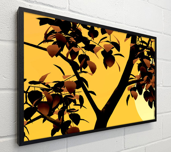 Branches In Sunlight