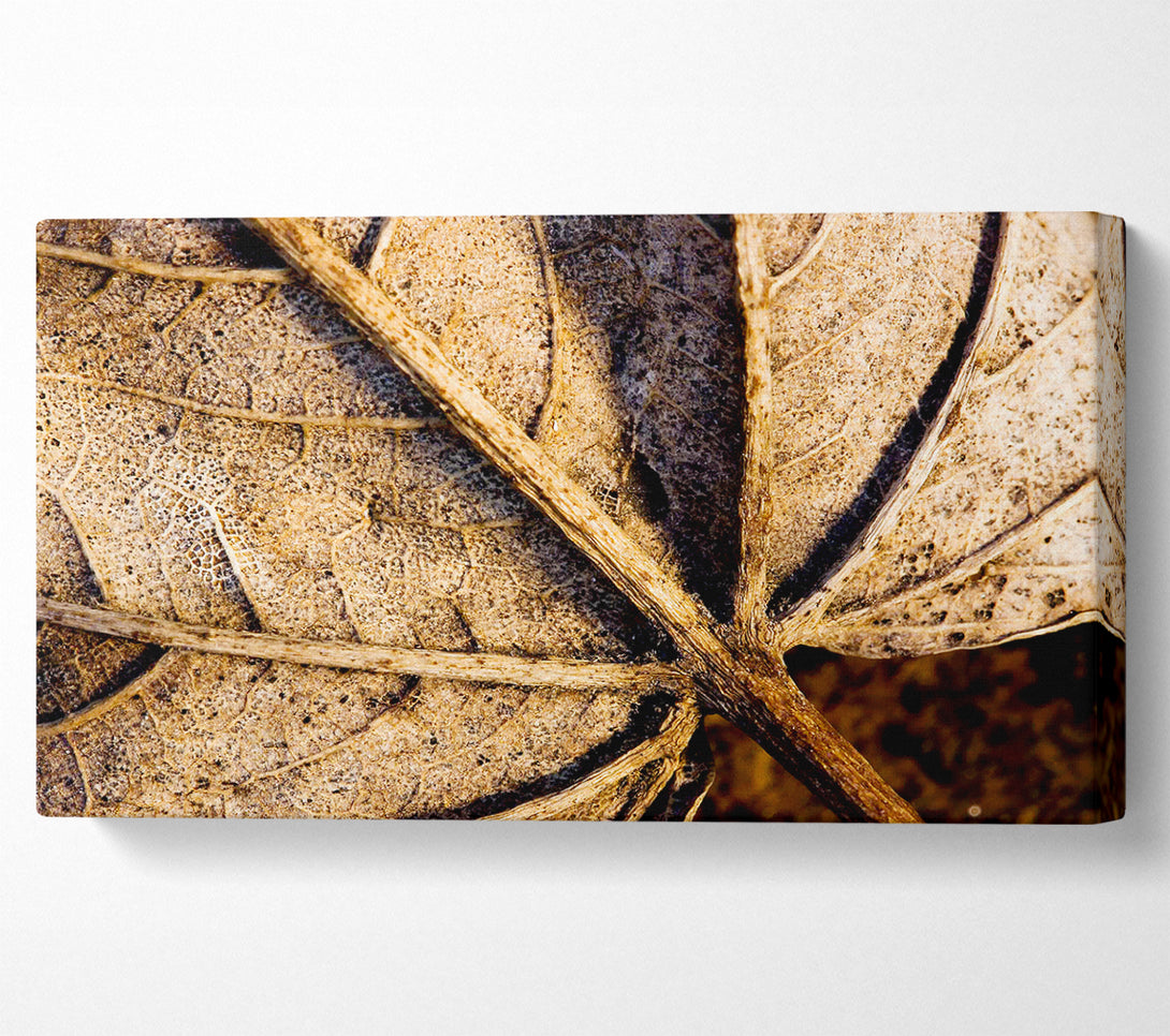  A Canvas Print of The Life Of A Leaf Chocolate Canvas Wall Art