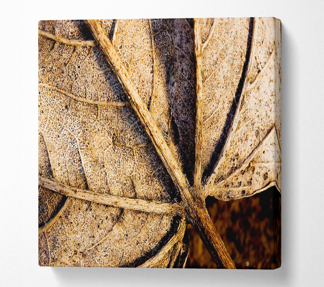  A Canvas Print of The Life Of A Leaf Chocolate Canvas Wall Art