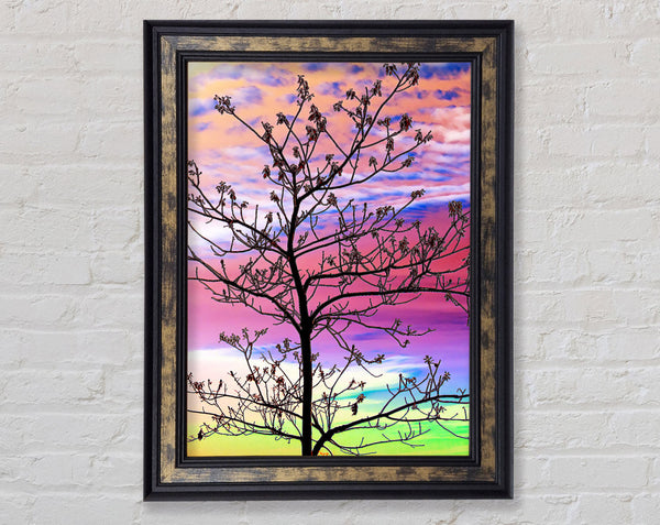Rainbow Skies Framed Print