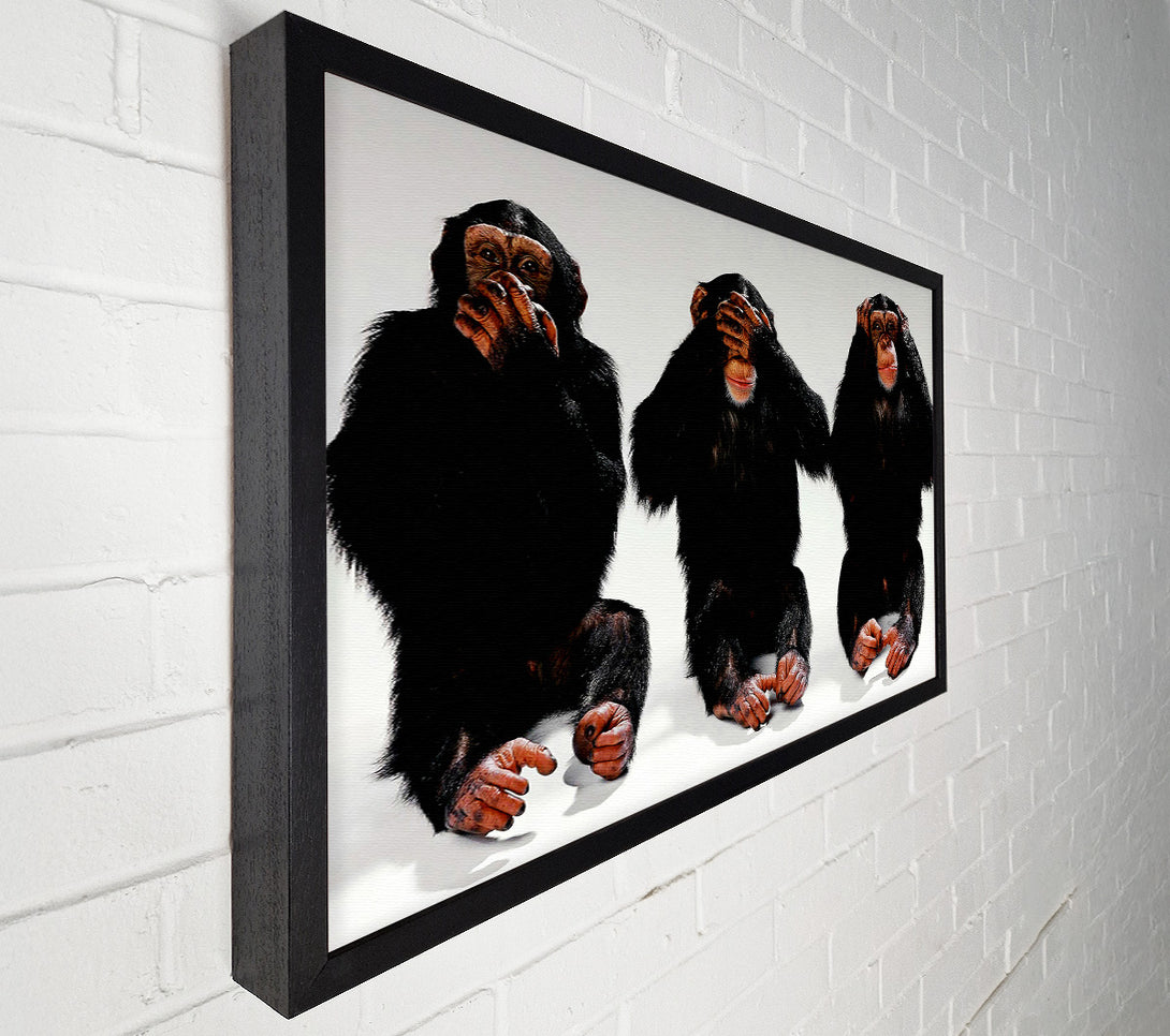  A Canvas Print of Three Wise Monkeys Canvas Wall Art