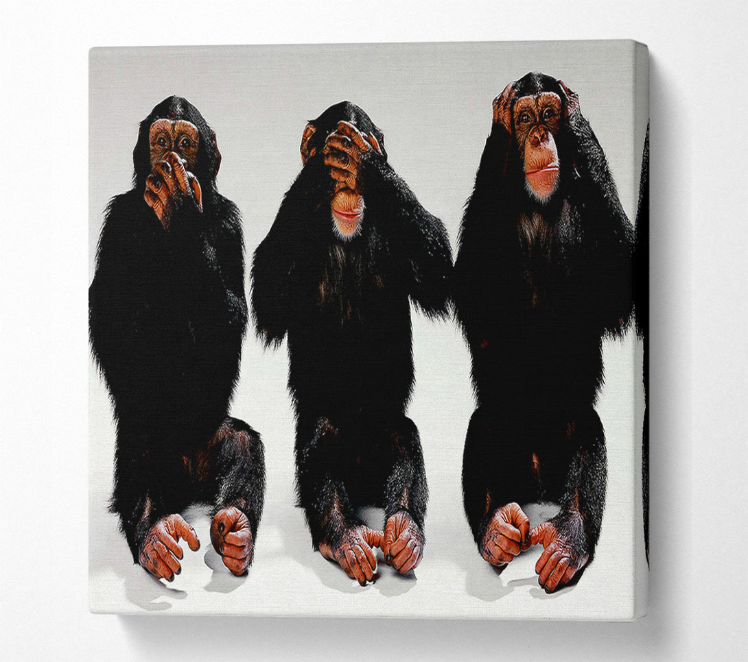  A Canvas Print of Three Wise Monkeys Canvas Wall Art