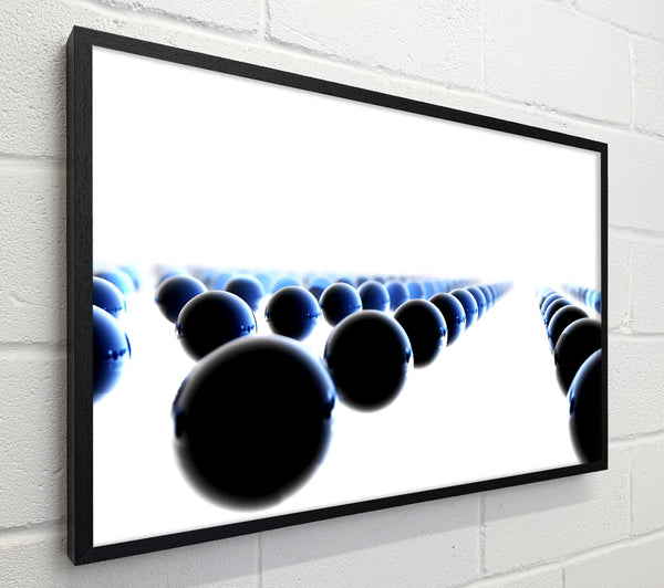 Black Ball Line-Up