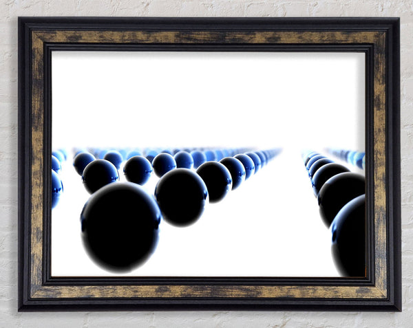 Black Ball Line-Up Framed Print