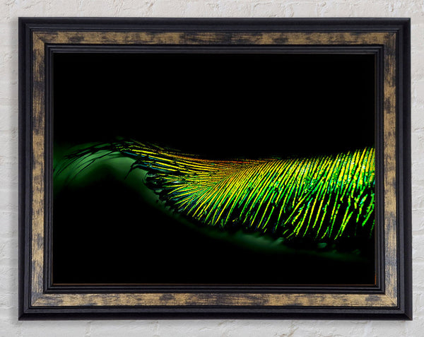 Vibrant Green Feather Framed Print