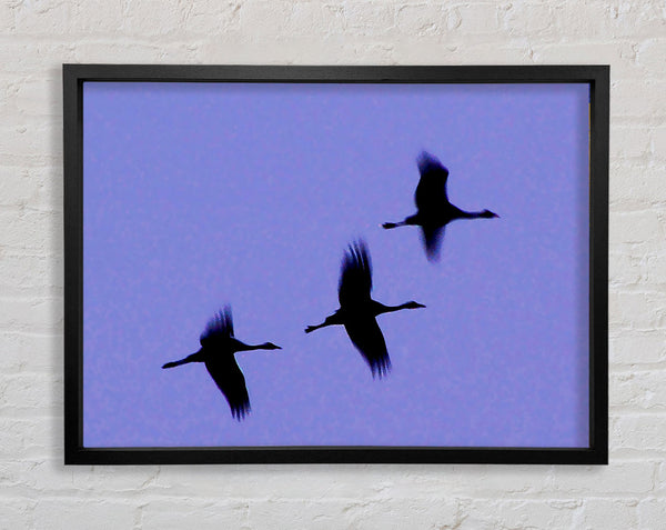 Gänse Trio im Flug Lila
