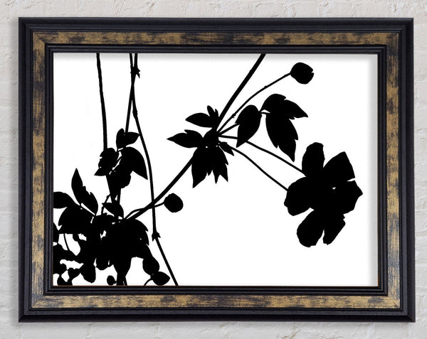 Black Flowers Framed Print