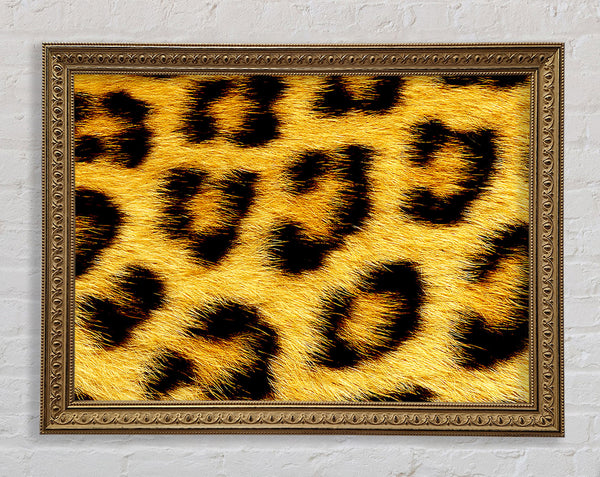 Leopardenmuster