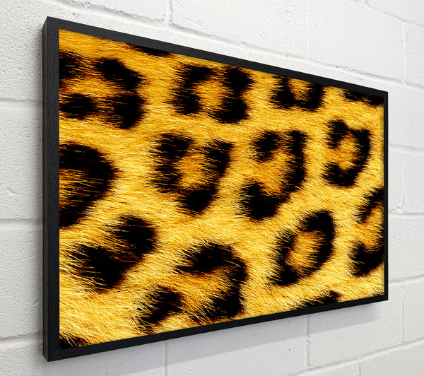 Leopard Print