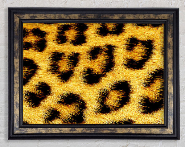 Leopard Print Framed Print