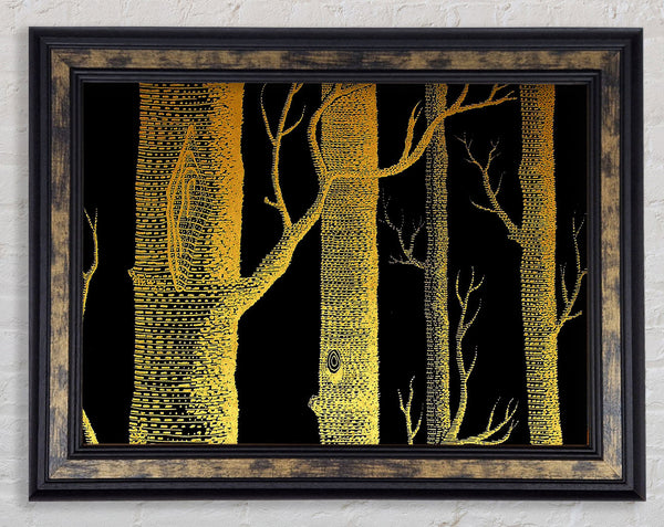 The Night Time Woodland Framed Print