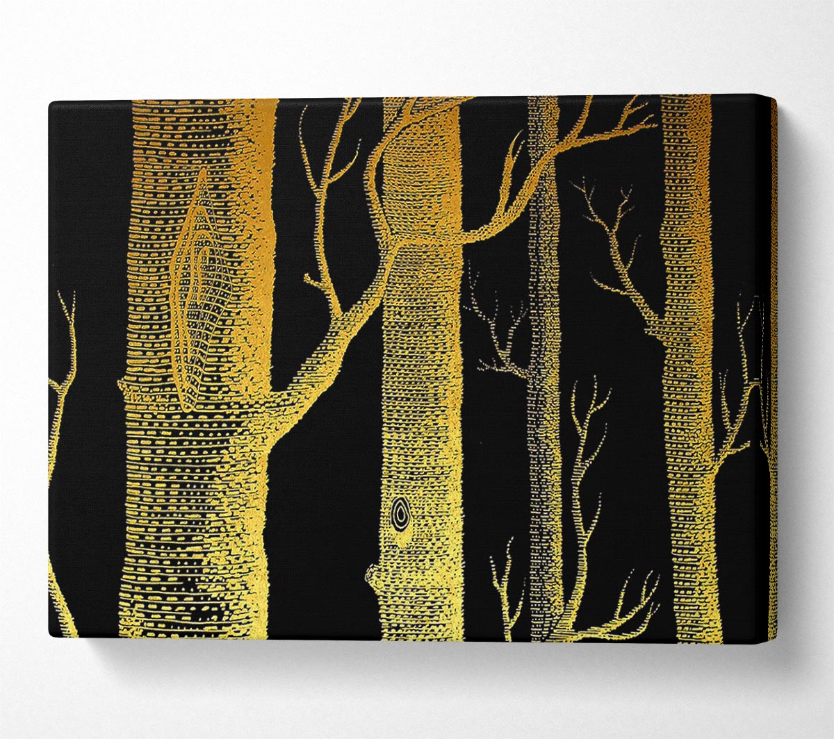 The Night Time Woodland Canvas Wall Art
