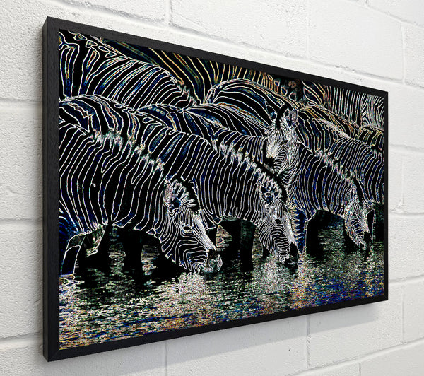 Zebra At The Watering Hole