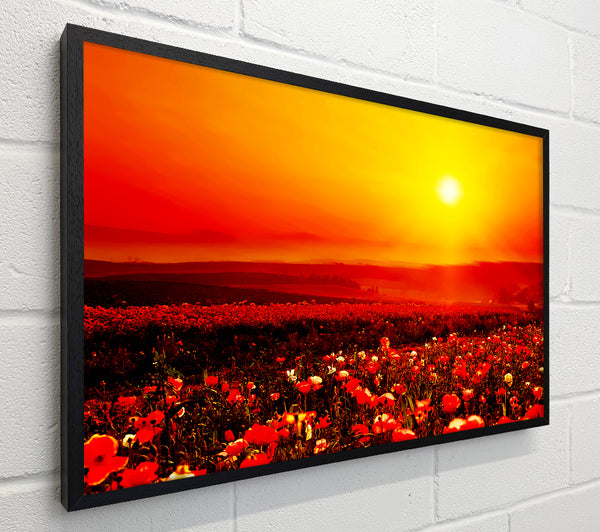 Poppy Field Mist