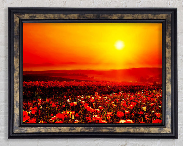 Poppy Field Mist Framed Print