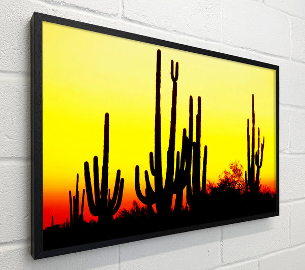 Desert Cactus Sunrise