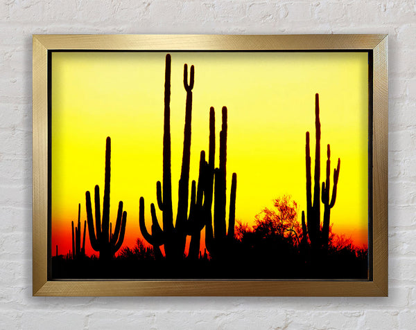Desert Cactus Sunrise Framed Print