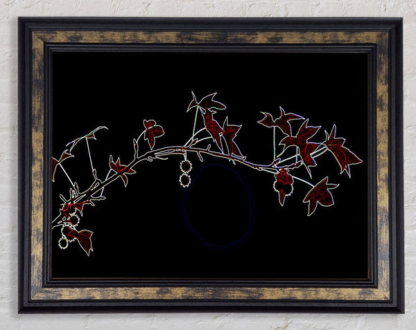 Berry Bush Framed Print