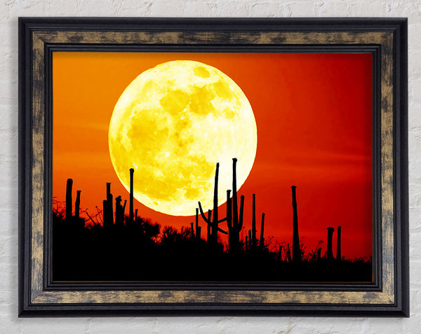Red Moon Cactus Framed Print