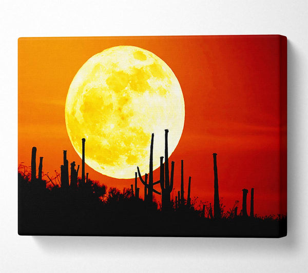 Red Moon Cactus Canvas Art