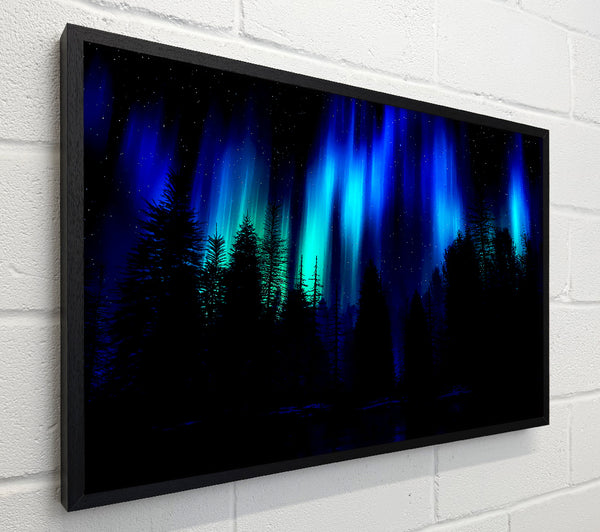 Blue Northern Lights Through The Forest