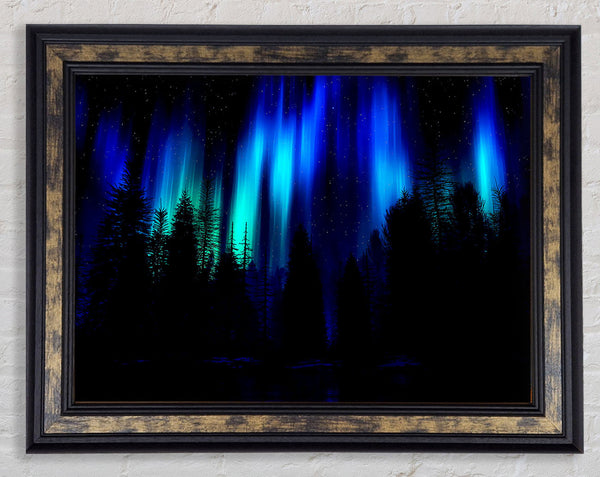 Blue Northern Lights Through The Forest Framed Print