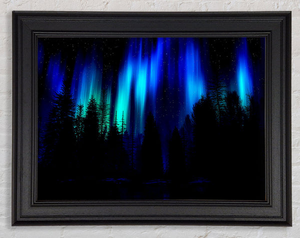 Blaue Nordlichter durch den Wald
