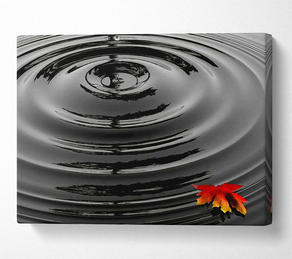 Water Ripple Red Leaf Canvas Print