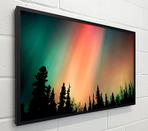 Northern Light Nights