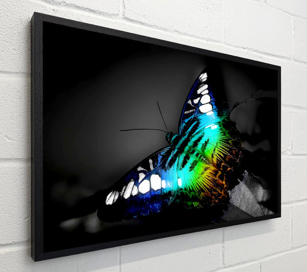 Psychedelic Butterfly 2