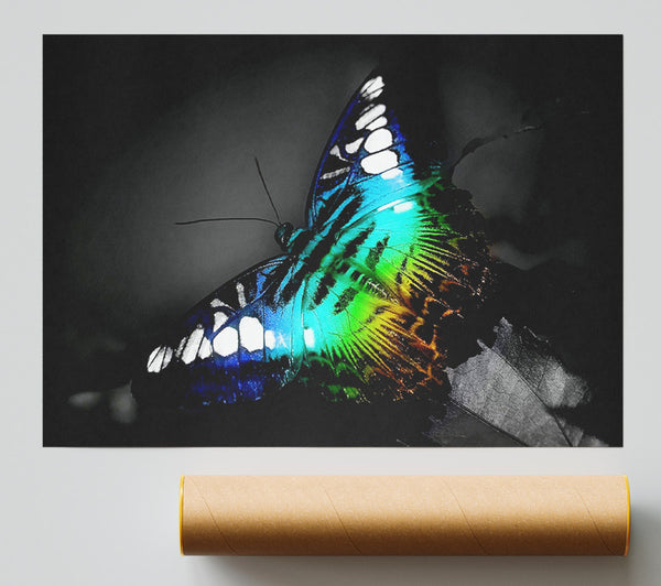 Psychedelic Butterfly 2 Print