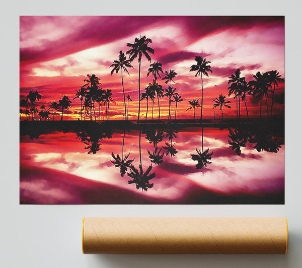 Pink Palm Tree Reflections Poster