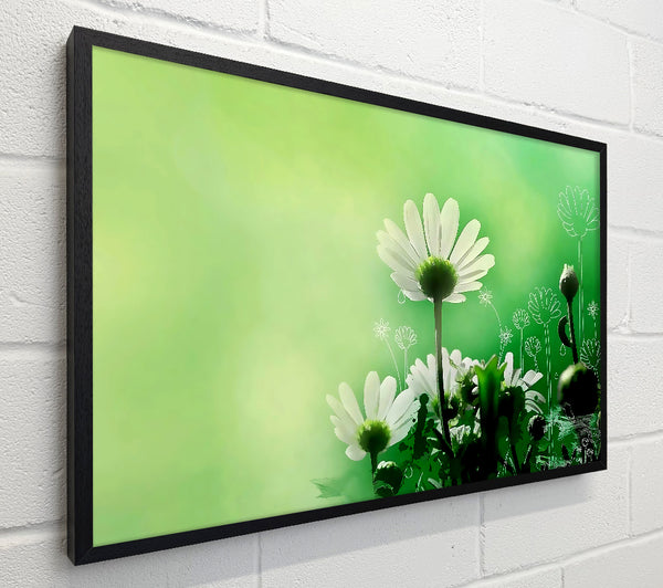 Green Daisy Garden