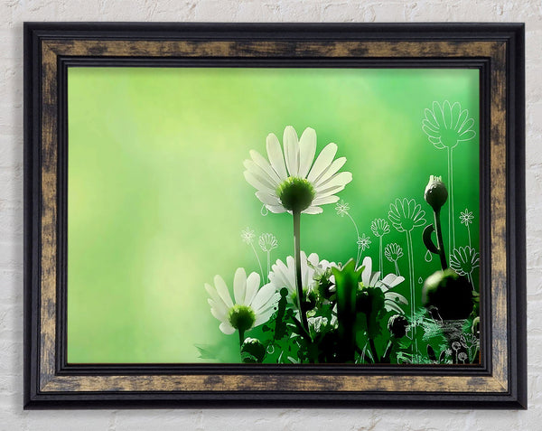 Green Daisy Garden Framed Print