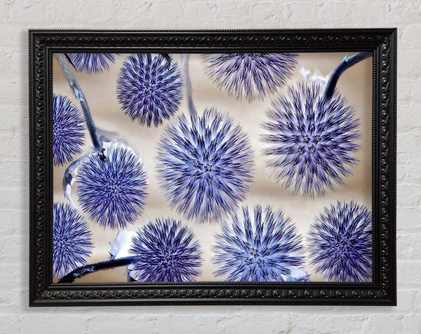 Pusteblume Überraschung Flieder