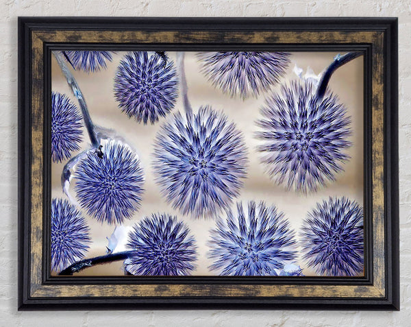 Dandelion Surprise Lilac Framed Print