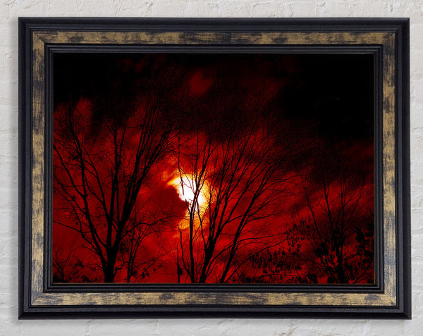 Red Moonlight Framed Print