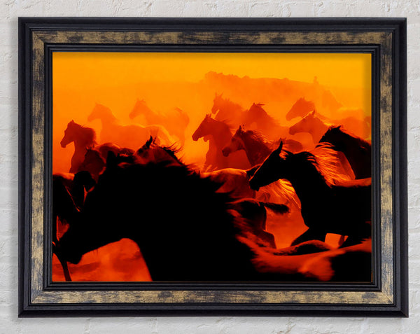 Stunning Wild Horses Framed Print