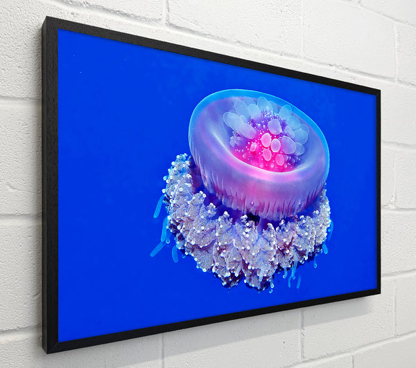 Neon Jellyfish